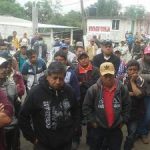 En riesgo cosecha de café en Veracruz; productores, en legítima lucha