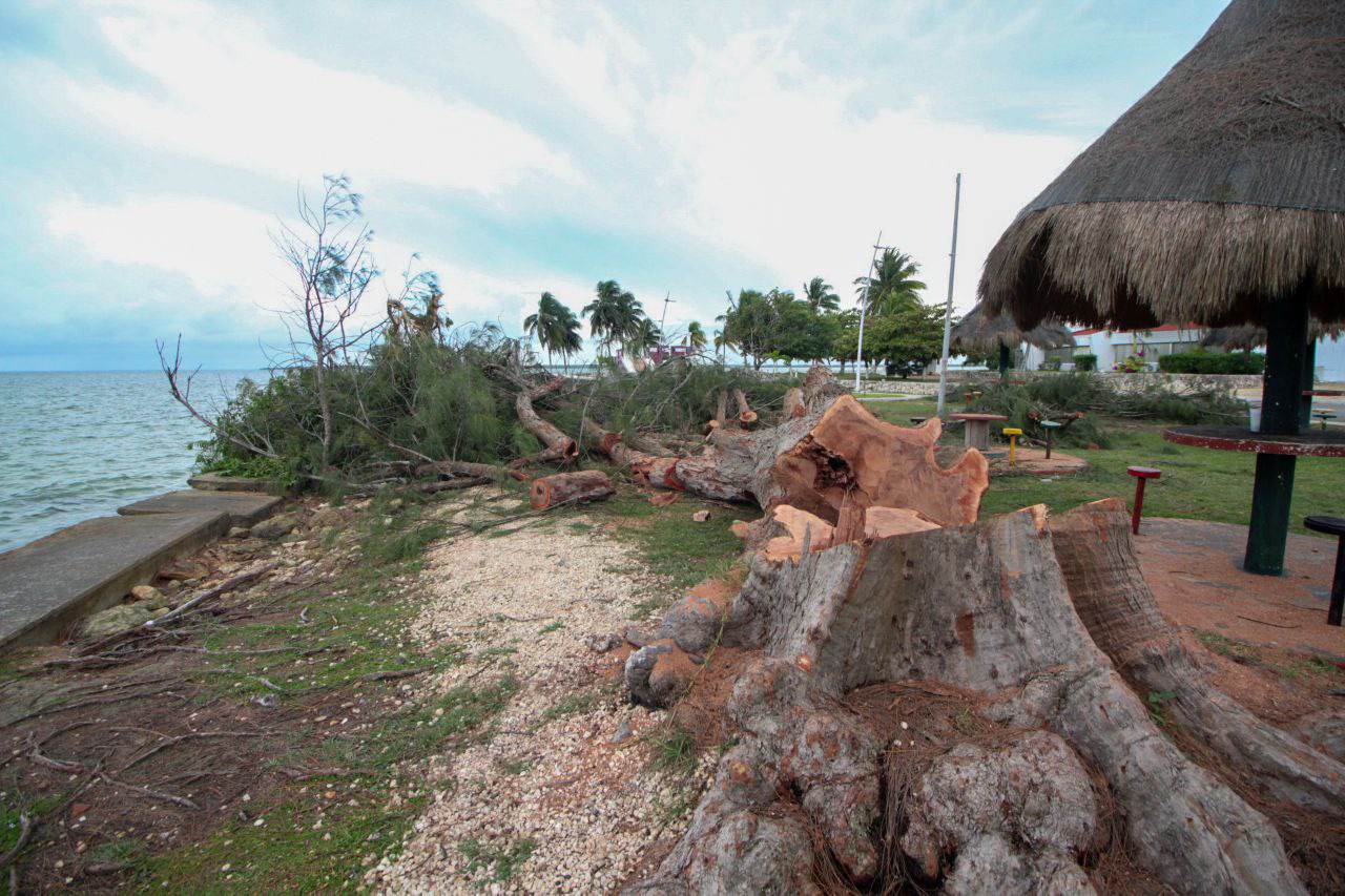 Foto: Twitter @LidiaRojasFab