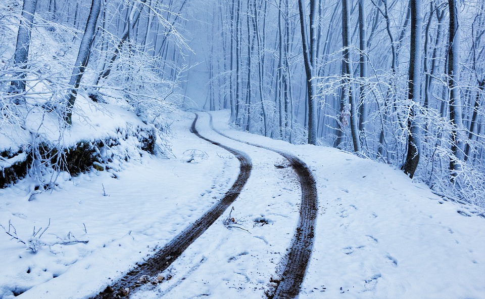 Foto: Nature_Shots
