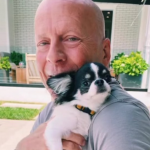 Bruce Willis obtiene 8 nominaciones a la Frambuesa de Oro o Razzies, lo peor del cine