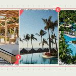 Modifican selva y zona forestal para obra de Vidanta