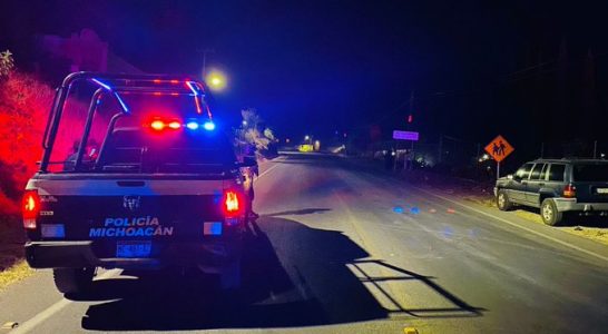 Foto: Twitter @SSeguridad_Mich