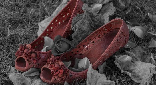 Foto: semprepiusu03 /