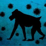 Se mantiene alerta internacional por viruela del mono: OMS
