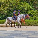 Madrid, capital mundial durante 48 horas, por cumbre de la OTAN