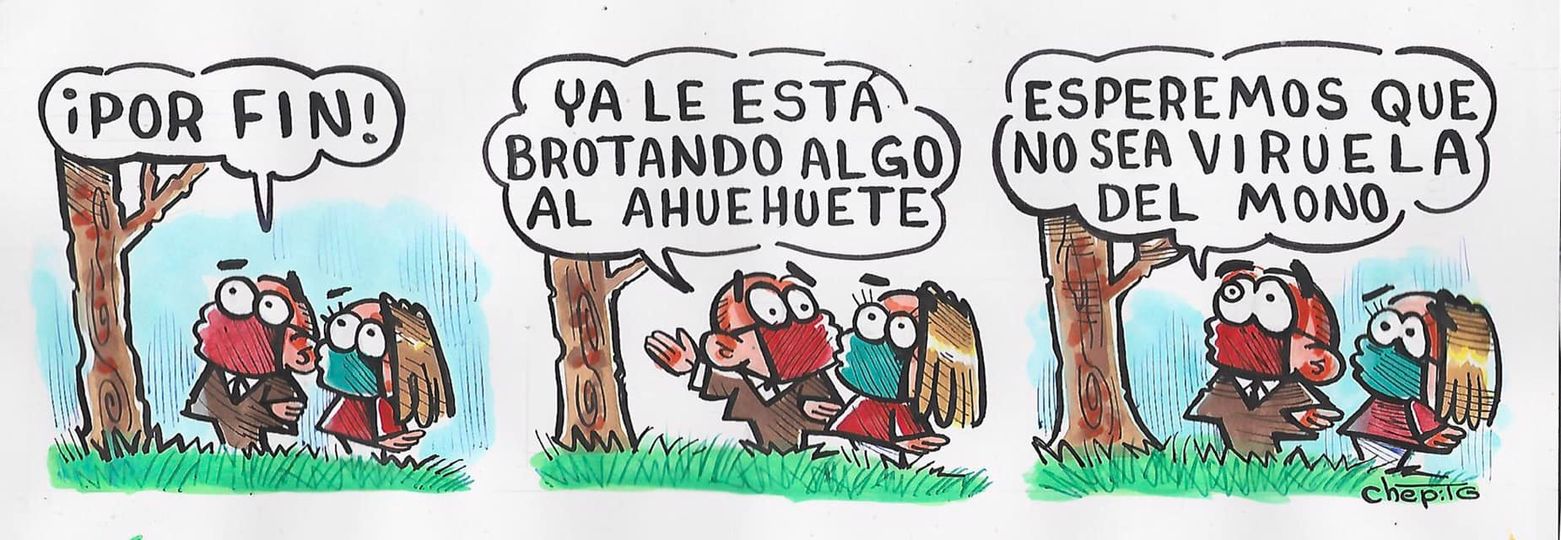 caricatura, viruela del mono