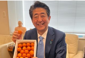 Foto: Instagram shinzoabe