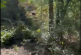 Surge un cenote con un desnivel de más de 5 metros sobre Tramo 5 Sur del Tren Maya, señala ecologista