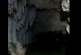 En peligro, la  'Dama Blanca', un maravilloso cenote de aguas cristalinas, por tramo 5 del Tren Maya (videos)