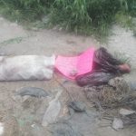 Reportan cuerpo embolsado, en Celaya, Guanajuato