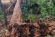 Que información relacionada con evaluación de impacto ambiental no pueda clasificarse como reservada