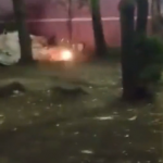 ¿Sabes quién fue?: Graban video cuando lanzan pirotecnia a una persona en situación de calle