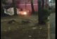 ¿Sabes quién fue?: Graban video cuando lanzan pirotecnia a una persona en situación de calle