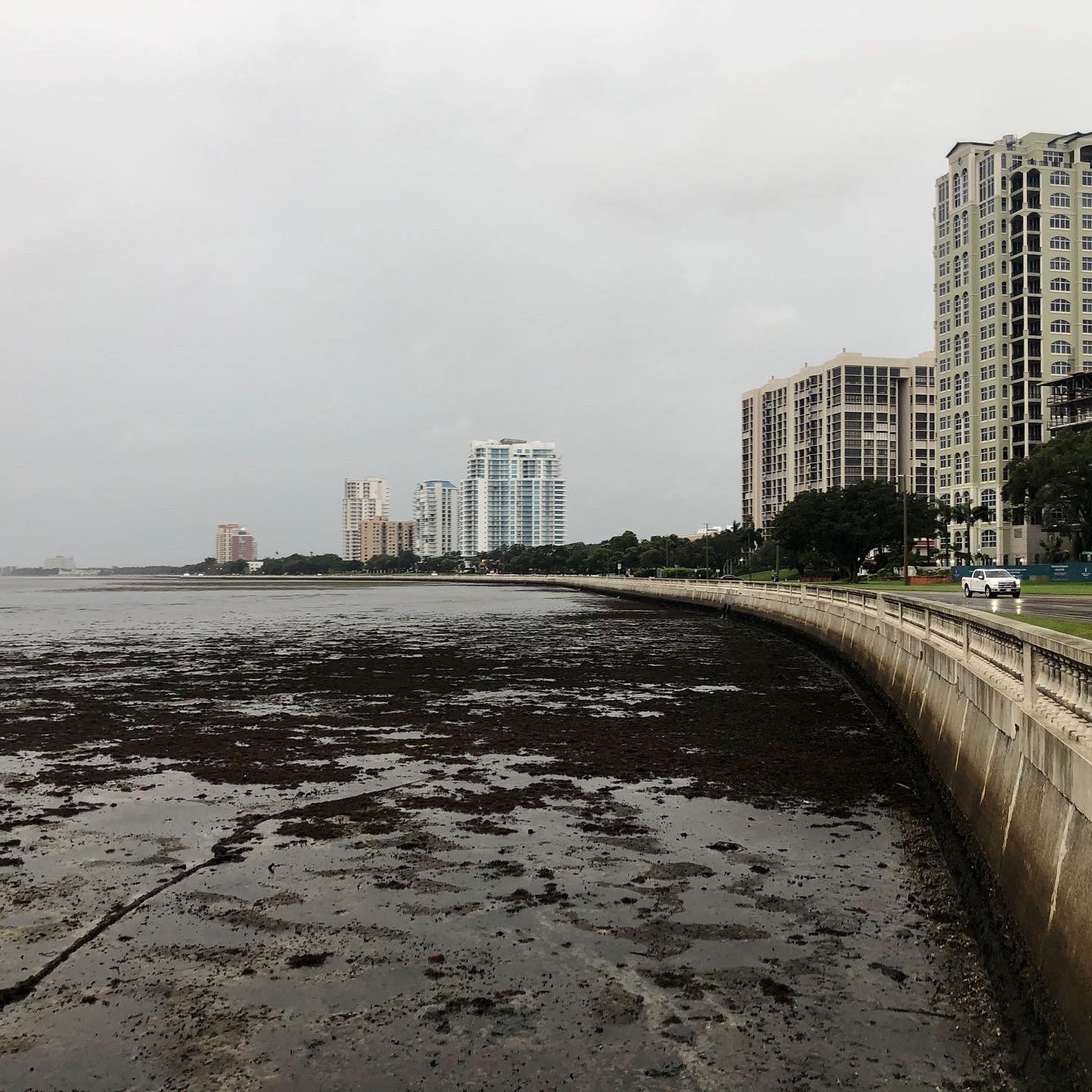 Foto: @TampaPD