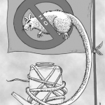 ¡No para!