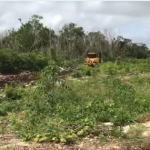 Los ingenieros y operadores de máquinas no tienen conocimiento sobre las cuevas debajo del Tramo 5, advierten ambientalistas (video)