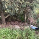 Localizan cuerpo de la maestra de Inglés, desaparecida en Ecatepec