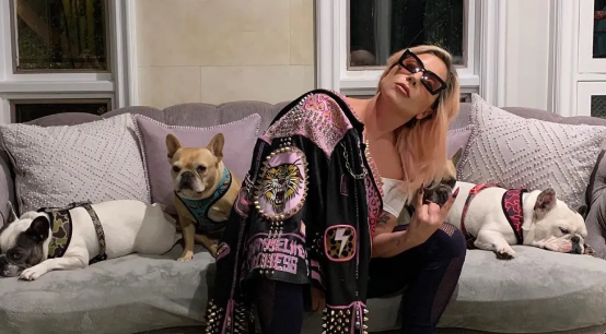 @ladygaga