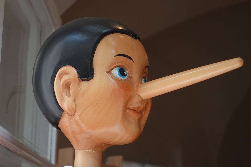 Foto: Schwerdhoefer 
