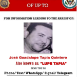 Sinaloa: Cae 'El Lupe Tapia', principal operador de 'El Mayo ' Zambada