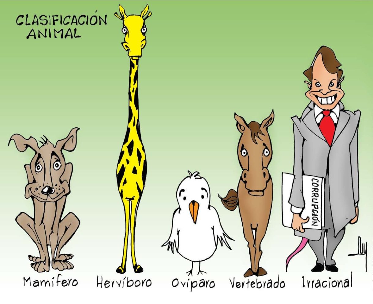 caricatura, animales