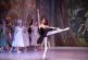 Las máximas figuras del Russian State Ballet llegan a CDMX, para ofrecer una inolvidable presentación en el Teatro Metropólitan
