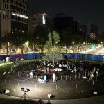 Expertos y sociedad civil, plantan en la glorieta de Paseo de la Reforma, un nuevo ahuehuete