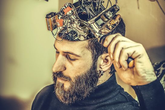 El cerebro en conserva: La revolución de los organoides neuronales ilimitados