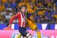 Nada para nadie: Tigres y Chivas se rasguñan pero no se hacen daño; empatan sin goles en la ida de la Final del Clausura 2023