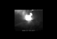 La erupción del Volcán Popocatépetl continúa: Retumbos, explosiones y emisión de gases y cenizas (videos) 🌋