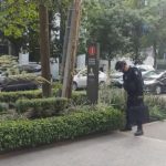Falso reporte de bomba en edificio de Alcaldía Miguel Hidalgo, en CDMX