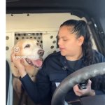 Bubu terminó, con éxito, su trabajo en la Policía de Hermosillo (video)