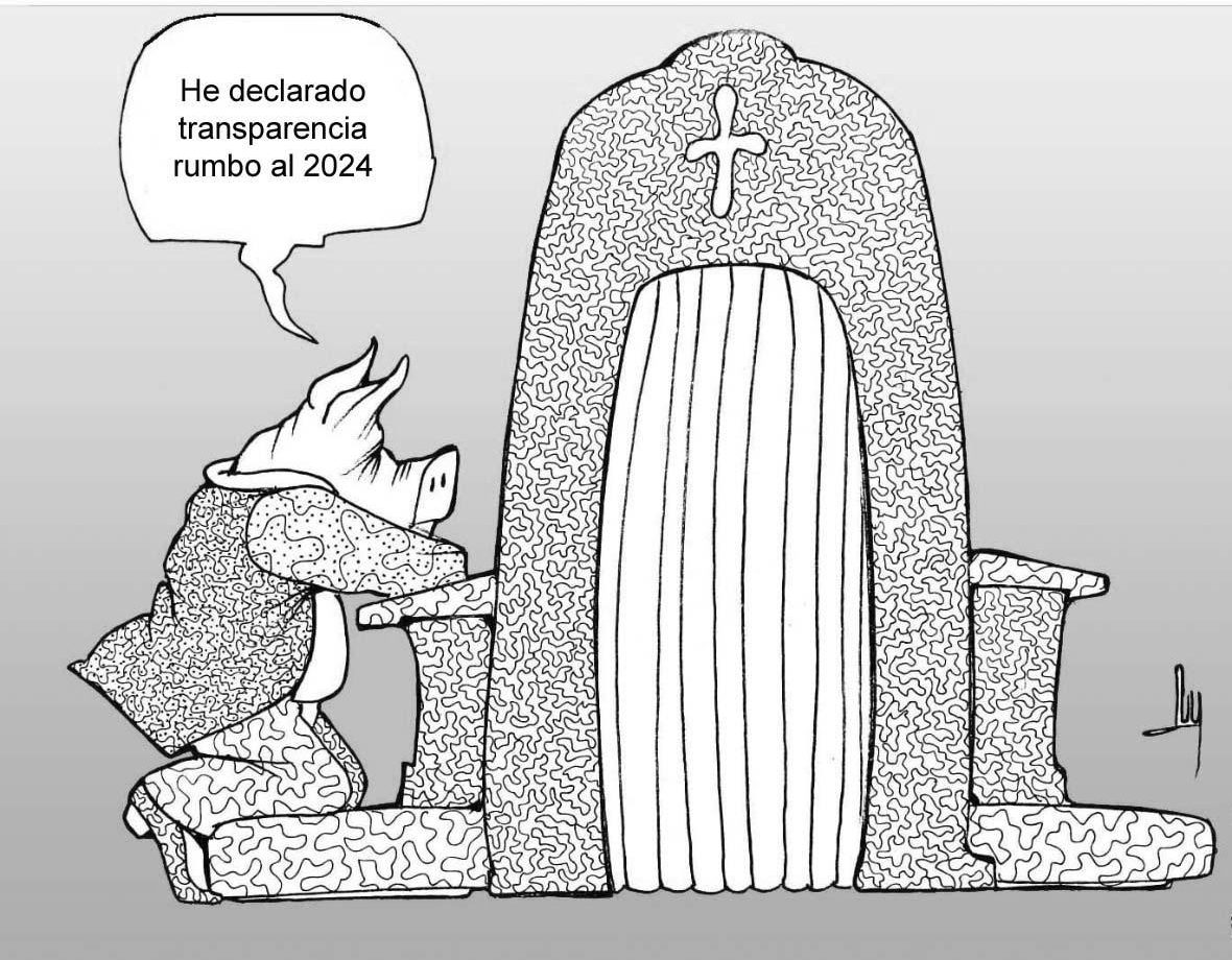 políticos, elecciones, democracia, caricatura, poder