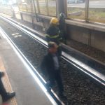 Reportan usuarios retraso en Línea B del STC-Metro; un gatito a la fuga, la causa