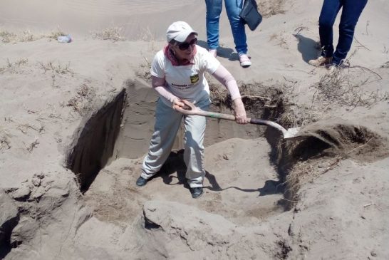 El derecho a ser buscado: Proponen elevar a rango constitucional la búsqueda de personas desaparecidas