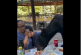 Sin ser invitado al almuerzo, un oso se come los tacos y enchiladas de una familia (video)