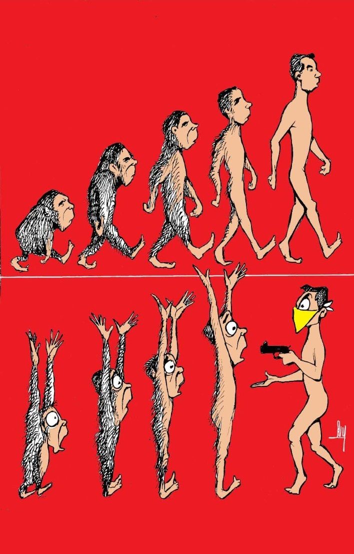 darwin, caricatura, evolución, hombre, Homo sapiens