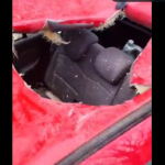 Impacta meteorito sobre automóvil en Estrasburgo, Francia (video)