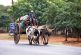Paraguay en alerta contra las maquinaciones del maltusiano programa ambientalista