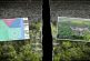 La Sedena arrasó la selva para construir 6 hoteles del Tren Maya