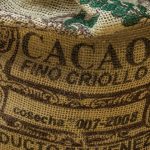 México consolida exportaciones de cacao por 101 MDD e impulsa un mercado global millonario