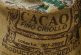 México consolida exportaciones de cacao por 101 MDD e impulsa un mercado global millonario
