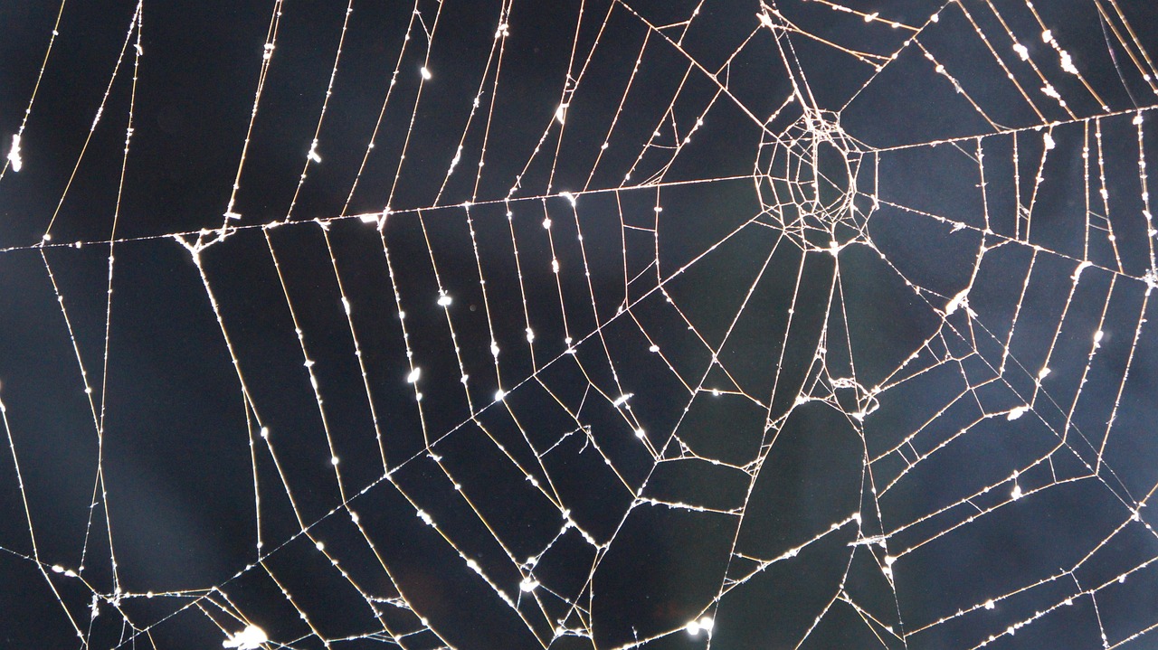 Foto: Alex en Pixabay
