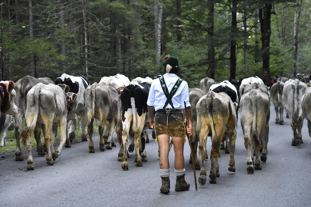 Foto: M. H. en Pixabay