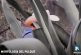 ¿Cuál es la Morfología del pulque?; descúbrelo por Canal Veintidós