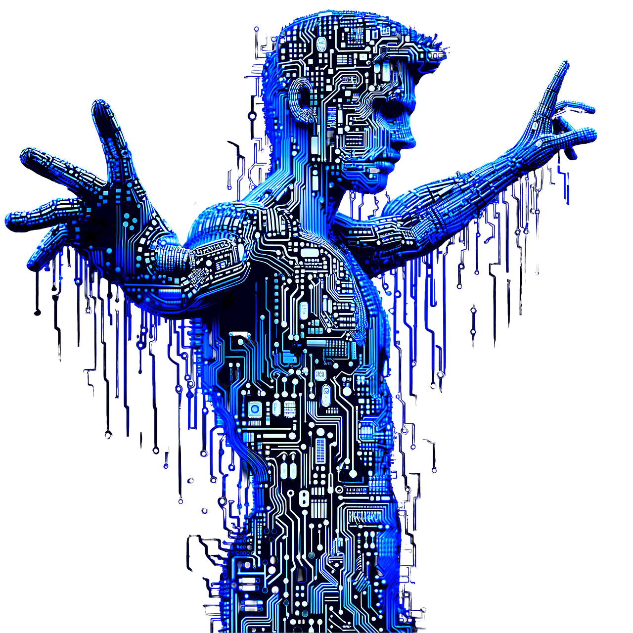 Daniel Vargas Ruiz en Pixabay