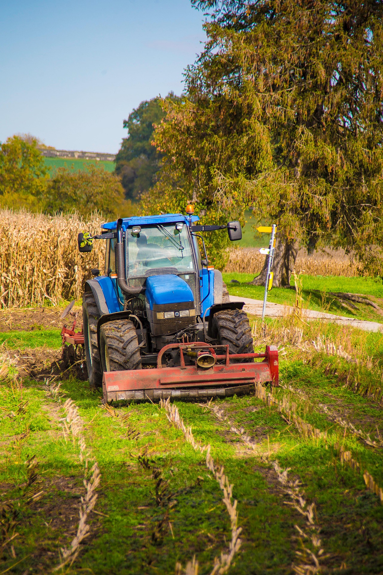 Lesbains39 en Pixabay