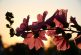 La primavera 2026 arranca con luz, meteoros y alertas climáticas en México