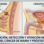 Impulsan reforma para obligar al Estado a garantizar atención integral de cáncer de mama y próstata