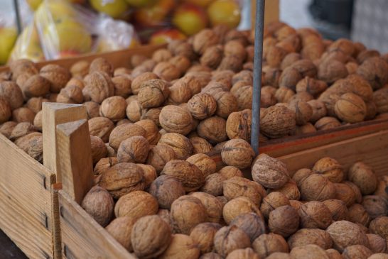 México, uno de los principales productores de nuez a nivel mundial